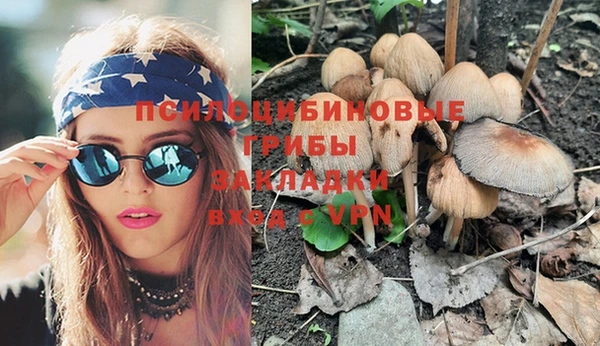 тгк Алексеевка