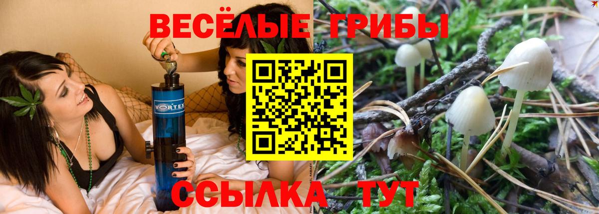 Псилоцибиновые грибы прущие грибы Иркутск